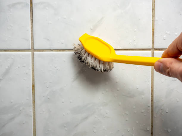 Best Mold Damage Repair  in Harbor Beach, MI