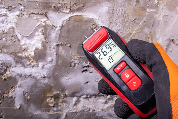 Best Mold Damage Repair  in Harbor Beach, MI