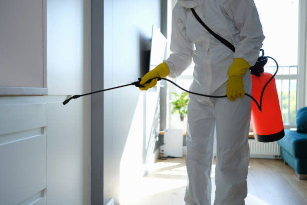 Best Home Mold Removal  in Harbor Beach, MI